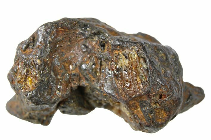 Sericho Pallasite Meteorite ( g) Metal Skeleton #267140